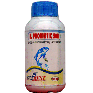 B. Probiotic 500